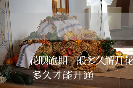 花呗逾期一般多久解开(花呗逾期了还清了,要多久才能开通)