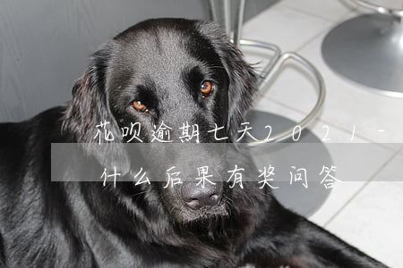 花呗逾期七天2021-花呗逾期七天会有什么后果?,有奖问答
