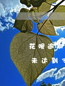 花呗逾期七天很严重吗(花呗逾期超过7天但未达到30天会怎样)
