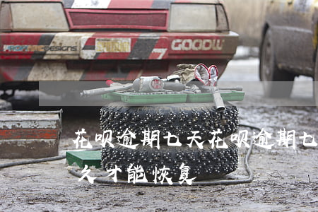 花呗 逾期七天(花呗逾期七天被暂停使用要多久才能恢复)