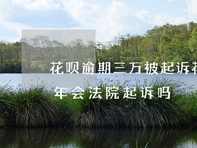 花呗逾期三万被起诉 花呗欠款3千多逾期半年会法院起诉吗