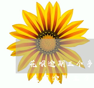 花呗逾期三个多月会被起诉吗 两千多（支付宝花呗逾期三万多会被起诉吗）