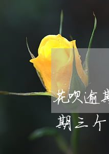 花呗逾期三个月了怎么还没打电话-花呗逾期三个月了怎么还没打电话催收