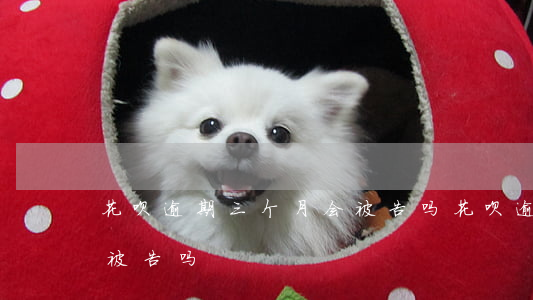 花呗逾期三个月会被告吗(花呗逾期三个月会被告吗)