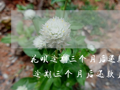 花呗逾期三个月后还款后还能使用吗?-花呗逾期三个月后还款后还能使用吗安全吗