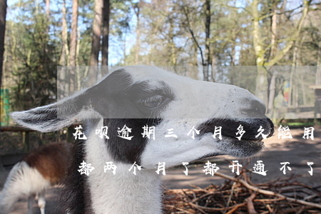 花呗逾期三个月多久能用(花呗逾期三个月了,都两个月了,都开通不了)