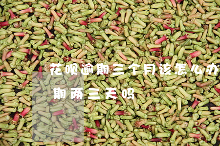 花呗逾期三个月该怎么办(支付宝花呗可以逾期两三天吗)