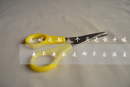 花呗逾期三个月还能开吗(花呗逾期3个多月是不是永远都不会恢复了)