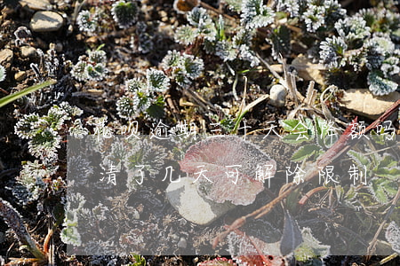花呗逾期三十天会降额吗(花呗逾期十几天,还清了几天可解除限制)