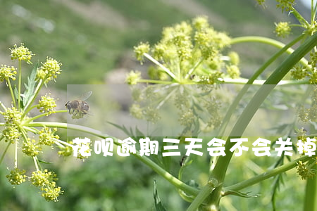 花呗逾期三天会不会关掉