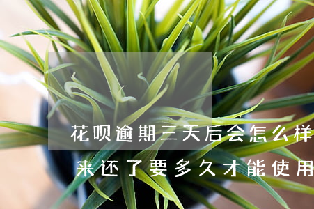花呗逾期三天后会怎么样(花呗逾期三个月后来还了要多久才能使用)