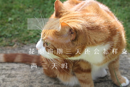 花呗逾期三天还会怎样(支付宝花呗可以逾期两三天吗)
