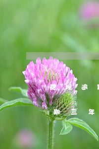 花呗逾期三年说要上门调查真的吗-花呗逾期三年说要上门调查真的吗安全吗