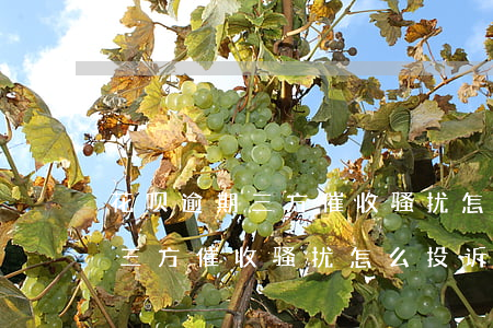 花呗逾期三方催收骚扰怎么投诉-花呗逾期三方催收骚扰怎么投诉电话