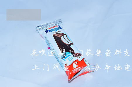 花呗逾期上门收集资料(支付宝花呗逾期说要上门调查怎么办本地电话打的)