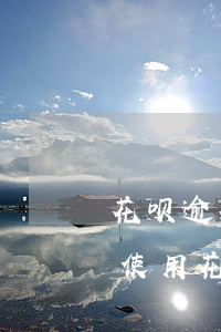 花呗逾期不能使用购物(花呗还款逾期后无法使用花呗购物怎么办)