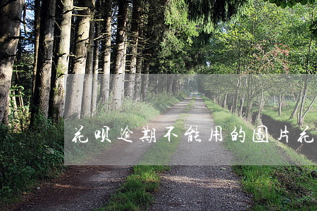 花呗逾期不能用的图片(花呗不能用了的图片)