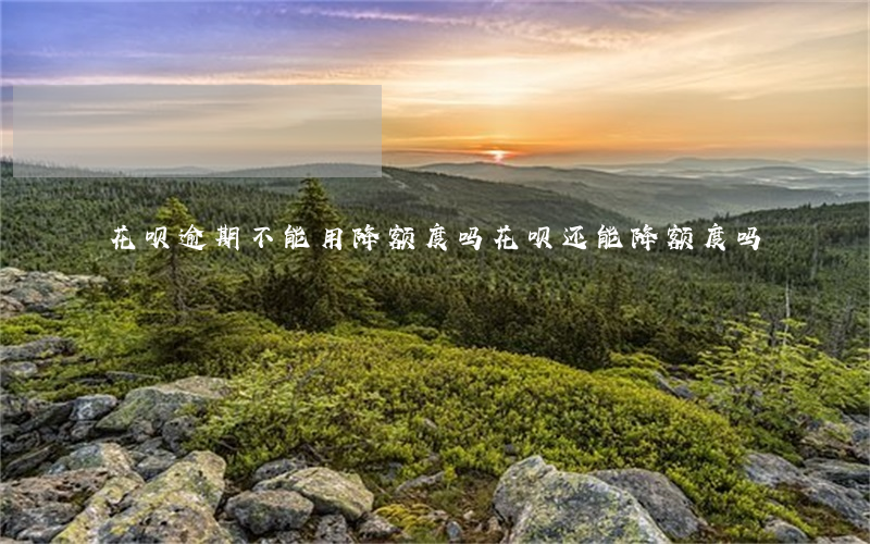 花呗逾期不能用降额度吗(花呗还能降额度吗)