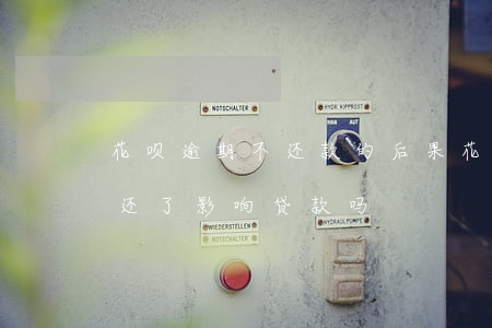 花呗逾期不还款的后果(花呗有过逾期,但是都还了,影响贷款吗)