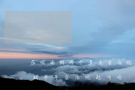 花呗逾期两个多月告法院(花呗欠款2万多逾期半年会法院起诉吗)