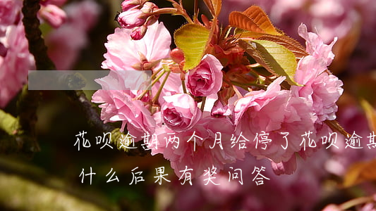 花呗逾期两个月给停了(花呗逾期两个月会有什么后果?,有奖问答)