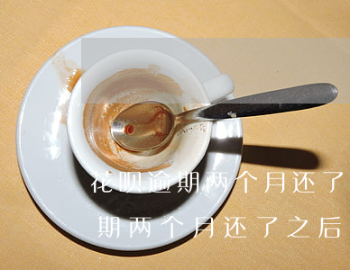 花呗逾期两个月还了之后还能用吗-花呗逾期两个月还了之后还能用吗?
