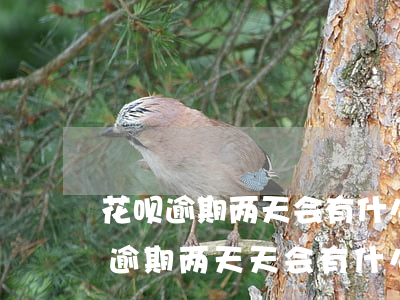 花呗逾期两天会有什么后果?,有奖问答-花呗逾期两天天会有什么后果?,有奖问答