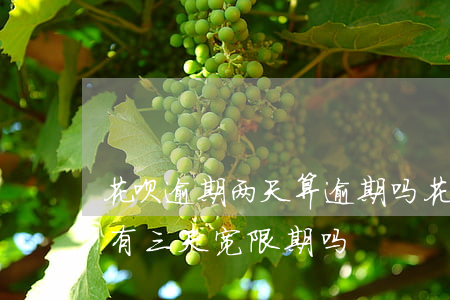 花呗逾期两天算逾期吗(花呗显示已逾期不是有三天宽限期吗)