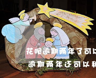 花呗逾期两年了可以协商最低还款吗-花呗逾期两年还可以和客服协商分期还款吗
