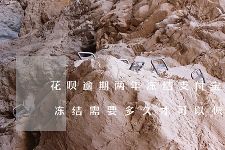 花呗逾期两年冻结支付宝(支付宝花呗逾期被冻结需要多久才可以恢复)
