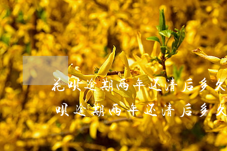 花呗逾期两年还清后多久才能恢复使用-花呗逾期两年还清后多久才能恢复使用能申诉么