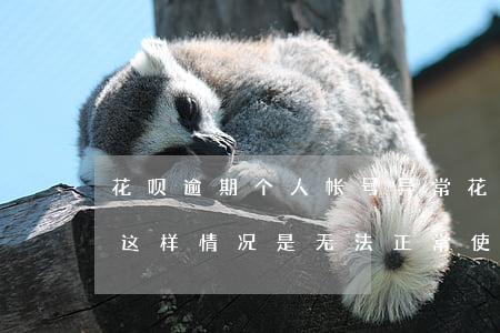 花呗逾期个人帐号异常(花呗有逾期还款记录,这样情况是无法正常使用花呗的)