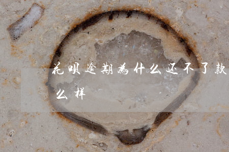 花呗逾期为什么还不了款(欠了花呗逾期会怎么样)