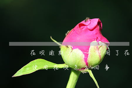 花呗逾期为啥不能用了(花呗有产品逾期无法使用花呗怎么回事)