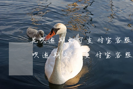 花呗逾期久了支付宝客服打电话怎么办-花呗逾期久了支付宝客服打电话怎么办呢