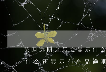花呗逾期之后会显示什么(花呗逾期还清了为什么还显示有产品逾期)