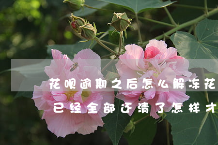 花呗逾期之后怎么解冻(花呗逾期冻结了,现在已经全部还清了,怎样才能解冻?)