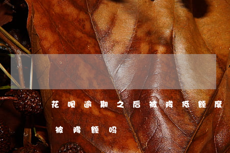 花呗逾期之后被降低额度(花呗逾期信用卡会被降额吗?)