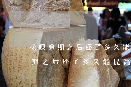 花呗逾期之后还了多久能提高额度-花呗逾期之后还了多久能提高额度了