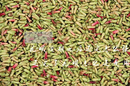 花呗逾期之后还完怎么强开(花呗逾期了然后还完了,花呗怎么还是用不了)