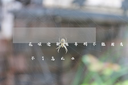花呗逾期乘车码不能用(支付宝逾期乘车码用不了怎么办)