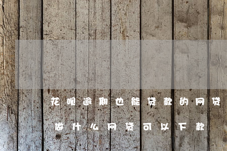 花呗逾期也能贷款的网贷(花呗逾期很久没还做什么网贷可以下款)