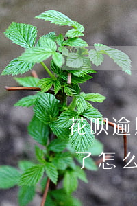 花呗逾期了1个多月了 花呗逾期了1个多月了怎么办