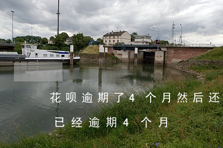 花呗逾期了4个月然后还完了还能用吗（花呗已经逾期4个月）