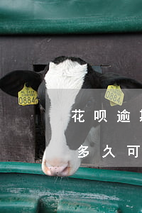 花呗逾期了50多块钱(花呗逾期五十天最快多久可以重新用啊?)