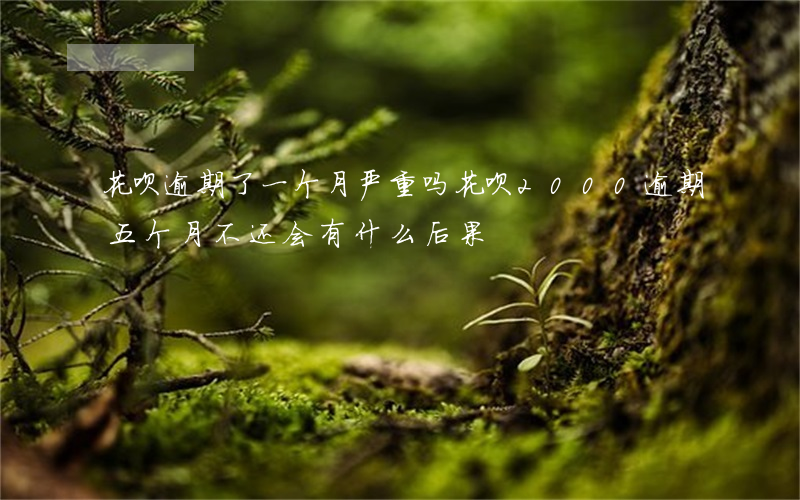 花呗逾期了一个月严重吗(花呗2000逾期五个月不还会有什么后果)