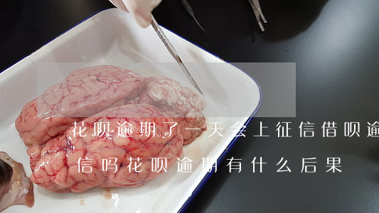 花呗逾期了一天会上征信(借呗逾期1天上征信吗?花呗逾期有什么后果)