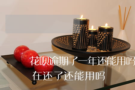 花呗逾期了一年还能用吗(花呗逾期了几天,现在还了,还能用吗)