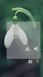 花呗逾期了七个月2800怎么办-花呗逾期7个月后还清了多久能恢复使用资格