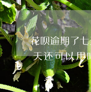 花呗逾期了七天还能用吗(支付宝花呗逾期七天还可以用吗)